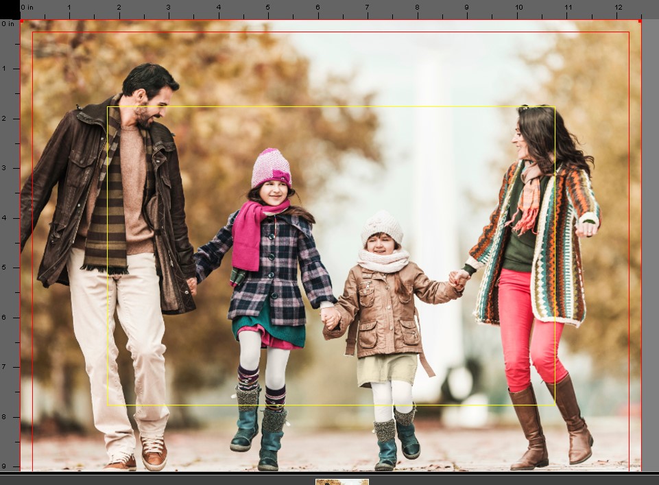 What are the Red and Yellow Lines in the Workspace? H&H Color Lab