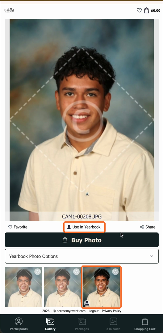 04.png